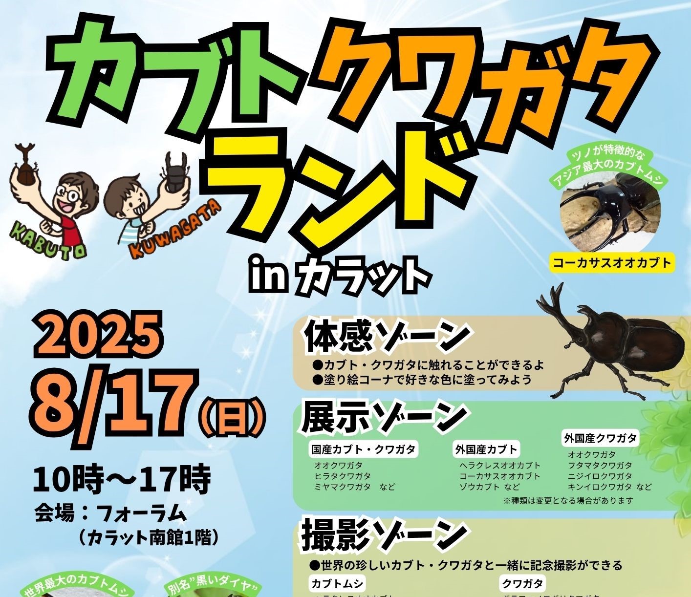 【8月17日（日）開催】カブトクワガタランド